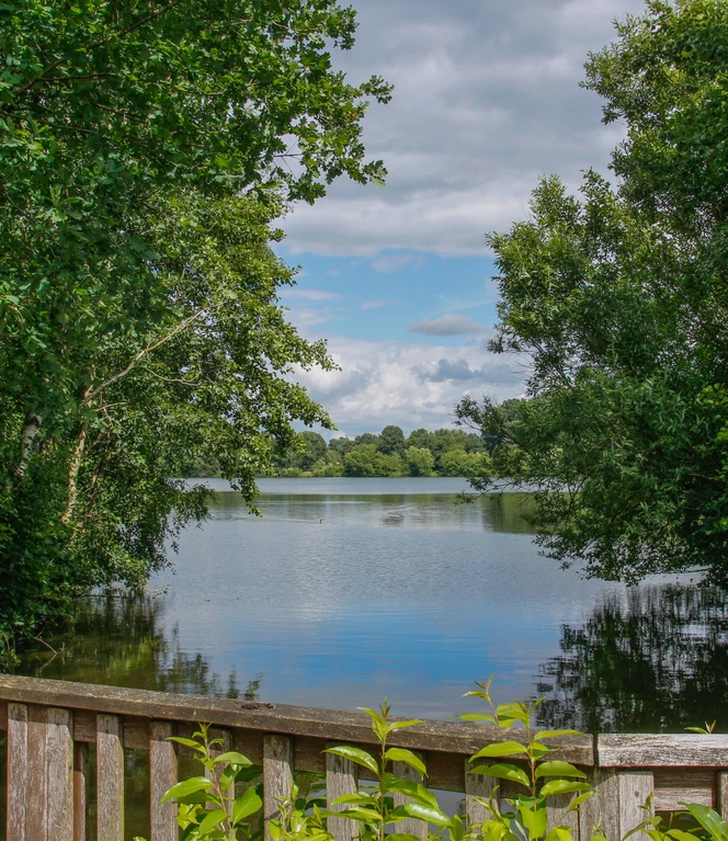 Saller See – Erholungsgebiet zwischen Lengerich und Freren ©Emsland Tourismus GmbH (3).JPG