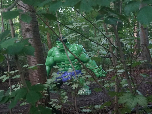 Hulk-Augustiana©Conni-Ernst-(4)