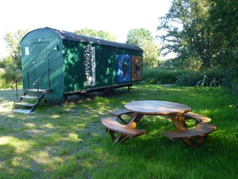 Bollenhagener Moorwald - "BollWerk"