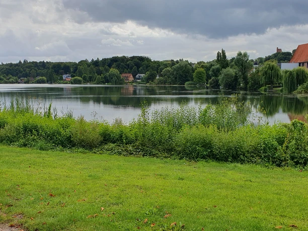 Am Schulsee