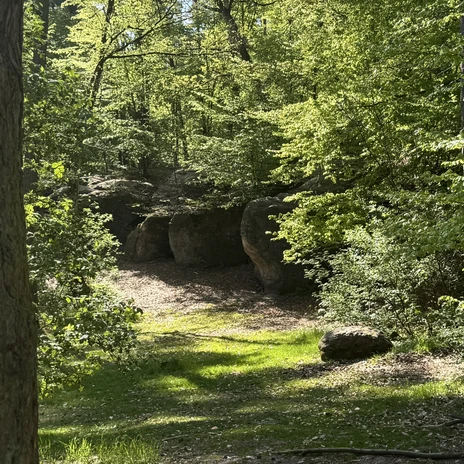 Sandsteinformationen im Wolfsburger Stadtwald