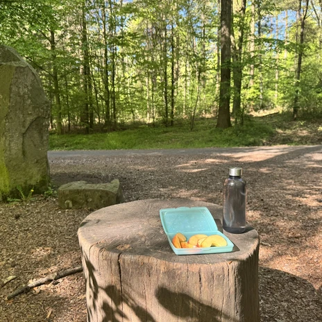 Familienführung Waldabenteuer - Picknick