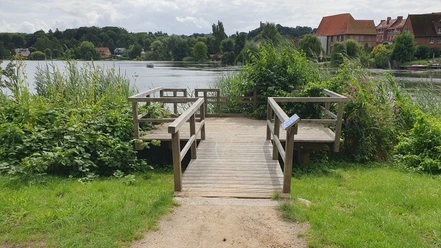 Landangelstelle Schulsee Mölln_barrierearm Holzplattform am Schulsee umgeben von Schilf und Bäumen, geeignet für Angler und Personen mit Mobilitätseinschränkungen am ruhigen Wasser.