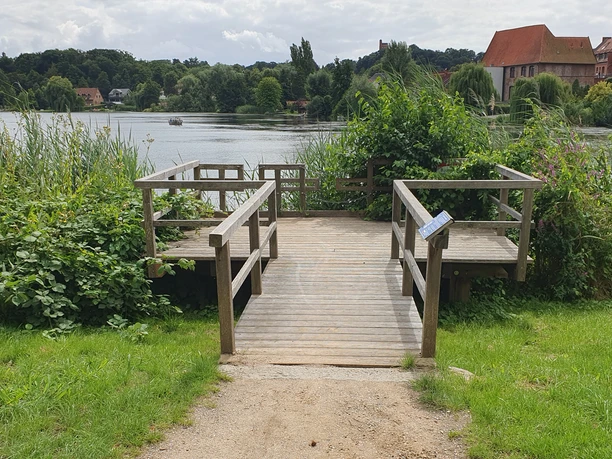 Landangelstelle Schulsee Mölln_barrierearm Holzplattform am Schulsee umgeben von Schilf und Bäumen, geeignet für Angler und Personen mit Mobilitätseinschränkungen am ruhigen Wasser.