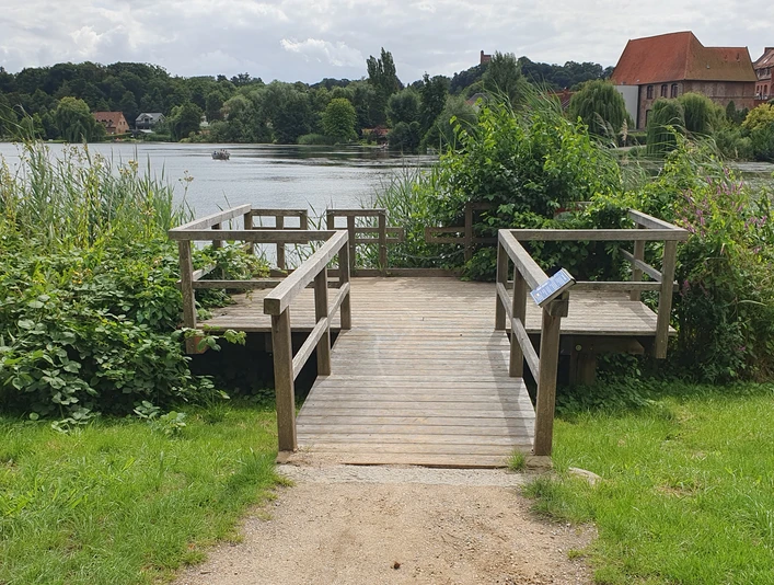 Landangelstelle Schulsee Mölln_barrierearm Holzplattform am Schulsee umgeben von Schilf und Bäumen, geeignet für Angler und Personen mit Mobilitätseinschränkungen am ruhigen Wasser.