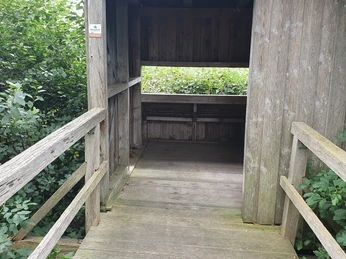 Vogelbeobachtungshütte Ein hölzerner Steg führt zu einer überdachten Aussichtsplattform, umgeben von üppigem Grün.