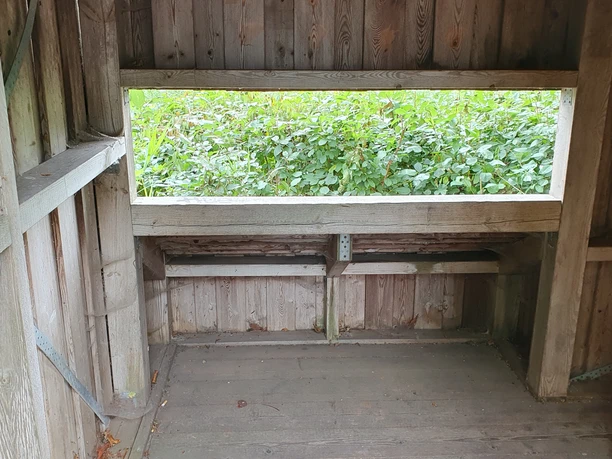 In der Vogelbeobachtungshütte Ein hölzerner Unterstand mit offenen Fenstern, umgeben von üppigem Grün, bietet Schutz und Ausblick.