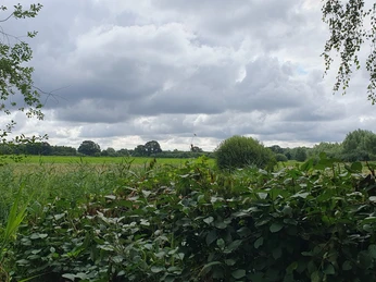 Ausblick auf Natur Ein weiter Blick über grüne Wiesen und Bäume im Hintergund. Der Himmel ist bewölkt.