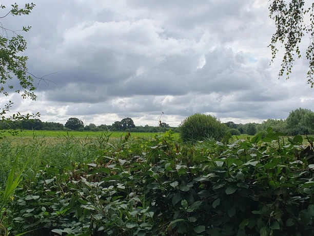 Ausblick auf Natur Ein weiter Blick über grüne Wiesen und Bäume im Hintergund. Der Himmel ist bewölkt.