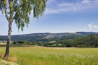 Blick über Lauter