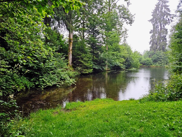 Kleine Bacherweiterung nahe Wassertretanlage