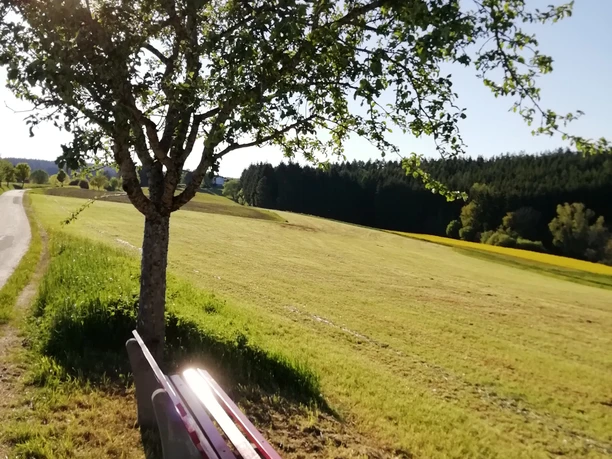 Am Apfelbänkle