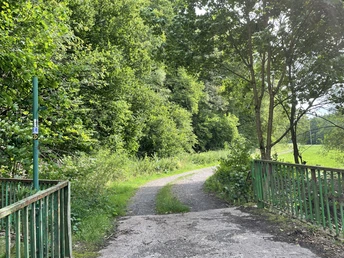 Brücke über die Aar