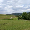 Blick Richtung Altenlotheim