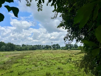 Storchennest