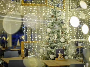 Christmas party on Lake Lucerne