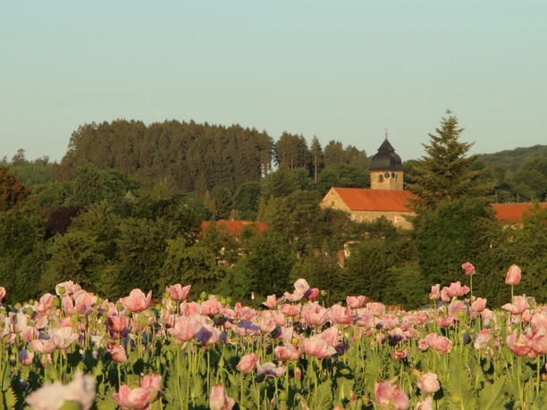 Mohnfeld vor Kloster Germerode