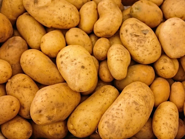 kartoffeln.jpg Eine Vielzahl frischer, brauner Kartoffeln liegt eng beisammen und bildet einen homogenen Haufen.