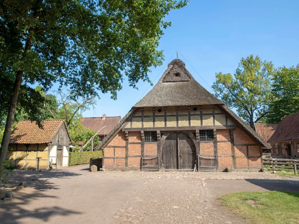 ammerlaender-bauernhaus.jpg Ein traditionelles niedersächsisches Bauernhaus mit Reetdach und Fachwerkfassade, umgeben von Natur.