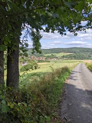 Blick aus dem Wald auf Altenlotheim