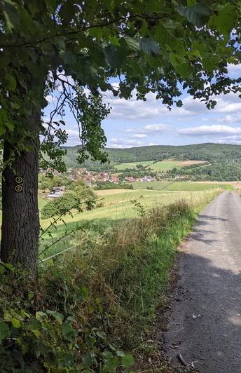 Blick aus dem Wald auf Altenlotheim