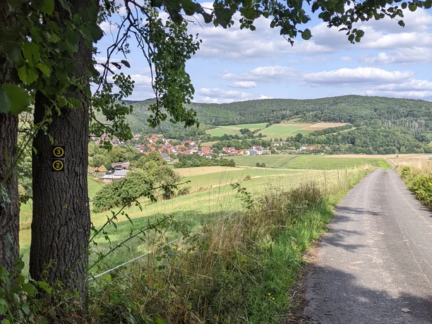 Blick aus dem Wald auf Altenlotheim