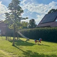 Spielplatz Bloumstücken.jpg Spielplatz Bloumstücken mit Klettergerüst und Rutsche, zwei Federtiere auf Grasfläche, Haus mit Solarpaneelen im Hintergrund