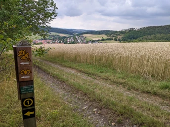 Unterwegs auf dem Lorfetal Rundweg 1