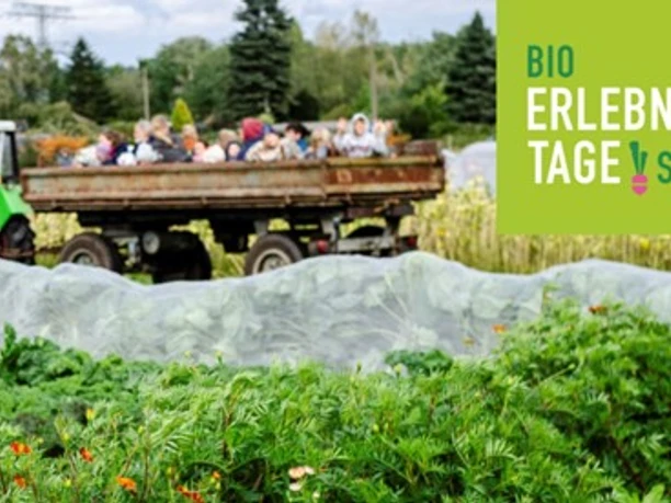 Bio-Erlebnistage 2025-Victor-Smolinski.jpg Traktor zieht Anhänger mit Menschen durch einen grünen Gemüseacker bei den Bio-Erlebnistagen.
