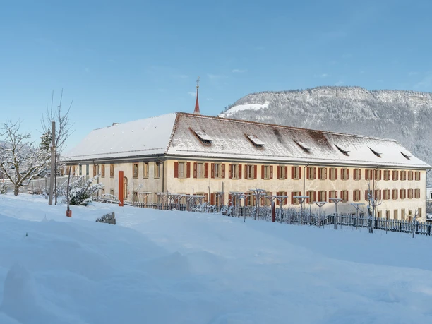 Weihnachtshäppchen und Weihnachtsguetzli selber zubereiten