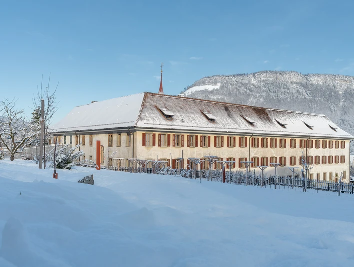 Weihnachtshäppchen und Weihnachtsguetzli selber zubereiten