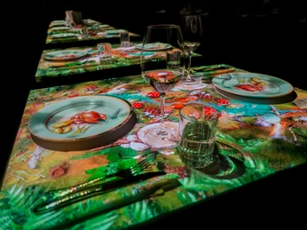 03 Chicken ProjectionCloseup 2