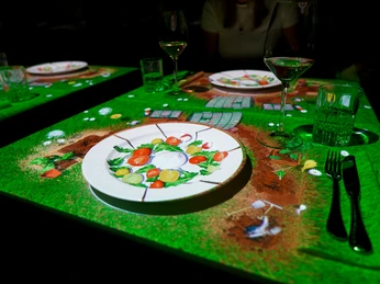 01 Starter Salad CloseupProjection 1