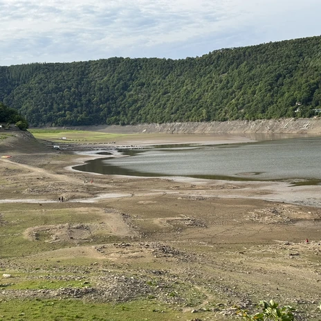 Überreste Dorfstelle Bringhausen