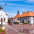 Historisches Rathaus mit Petunien - Foto Helmut Kramer 170703111111.jpg Weißes Rathaus mit Treppen und Blumentöpfen auf dem Marktplatz von Lingen bei blauem Himmel.
