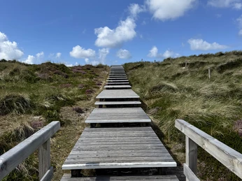 Stufen am Strandübergang Grillplatz
