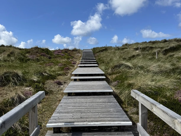 Stufen am Strandübergang Grillplatz