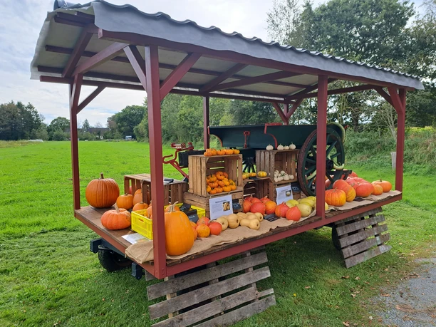 Kürbis Pfeiffers Hofladen Aurich Kürbis Pfeiffers Hofladen Aurich