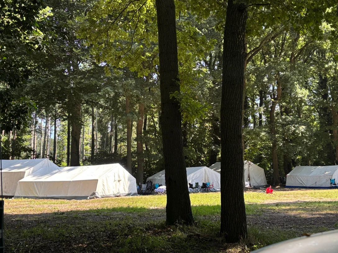 Jugendzeltplatz Surwolds Wald