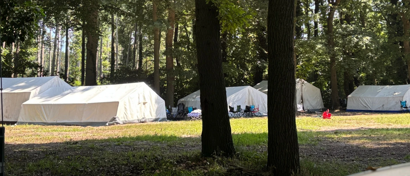 Jugendzeltplatz Surwolds Wald Weiße Gruppenzelte stehen auf einer Lichtung im schattigen Wald, Sonnenlicht fällt durch die Bäume.