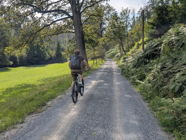 Kirnitzsch-Radweg zwischen tschechischer Grenze und Hinterhermsdorf