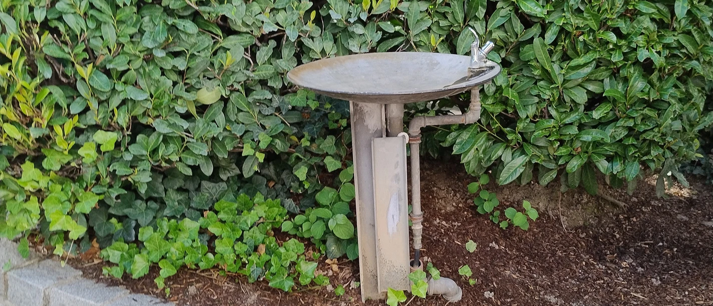 Trinkbrunnen Adlerplatz Bildrechte Stadt Achern verkleinert