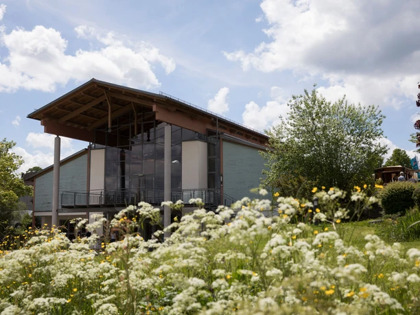 Kinzighaus von richtung Rathaus