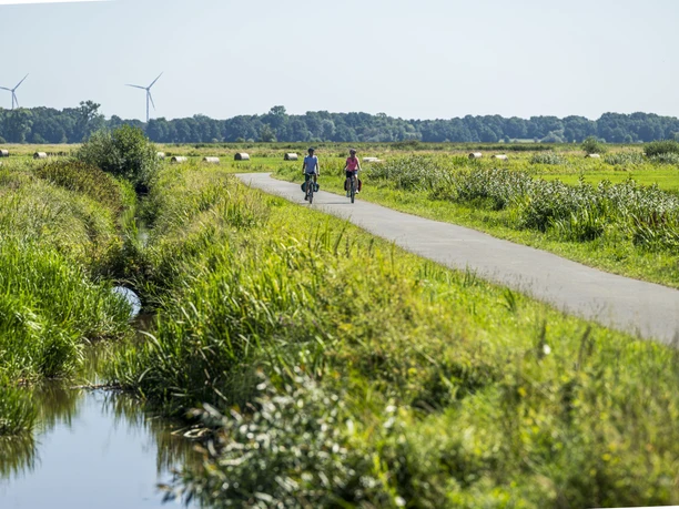 Bremen Wümmeniederung Cyclists ride through the Wümmen lowlands