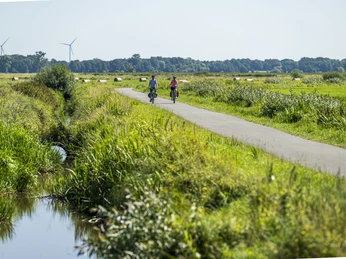 Bremen Wümmeniederung Radfahrer fahren durch die WümmeniederungCyclists ride through the Wümmen lowlandsCyklister kører gennem Wümmens lavlandFietsers rijden door het laagland van Wümmen