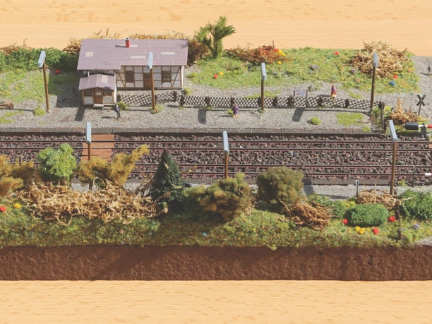 HAR ALTER BHF MOD.jpg