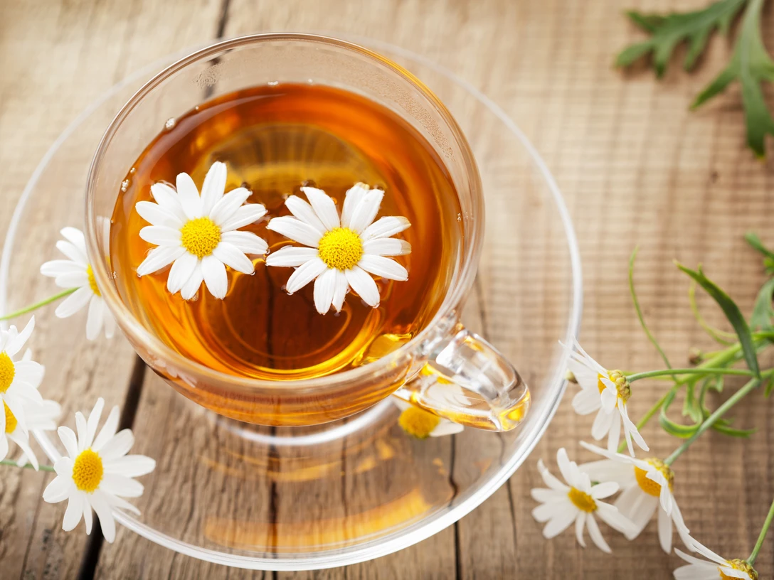 AdobeStock_43575703Gemeinsame Runde.jpeg