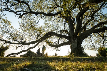 L³neburger Heide-2020-025-Totengrund.jpg