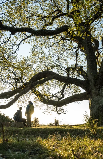 L³neburger Heide-2020-025-Totengrund.jpg