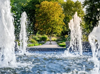 Springbrunnen im Rosengarten Rheda-Wiedenbrück